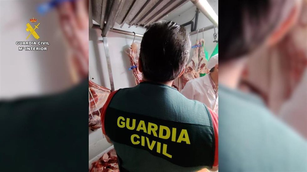 Explotación ovina en la que, supuestamente, se sacrificaban animales sin ningún tipo de control sanitario.