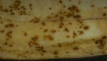 Laboratorio