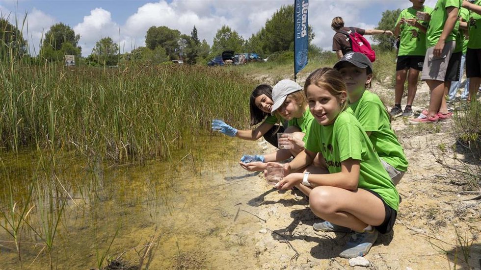 Reintroducción de gallipatos por escolares