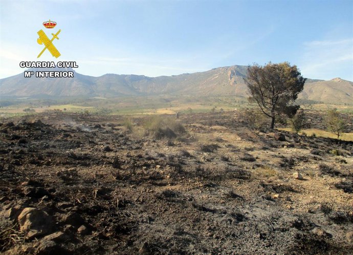 Las llamas calcinaron una superficie total de 58.000 metros cuadrados