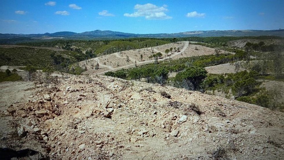 Zona afectada por el incendio de Almonaster la Real en 2020.