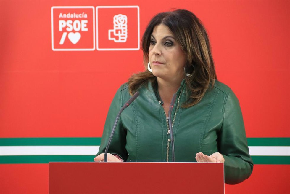 Archivo - La parlamentaria socialista Ángeles Férriz durante la rueda de prensa