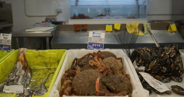 Pesca Galicia