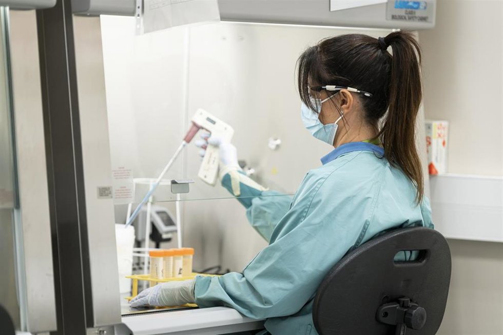 Archivo - Análisis de muestras en el laboratorio.