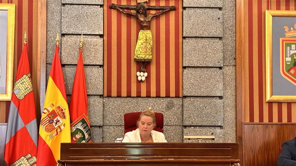 Ayala, en un momento del pleno de este viernes.