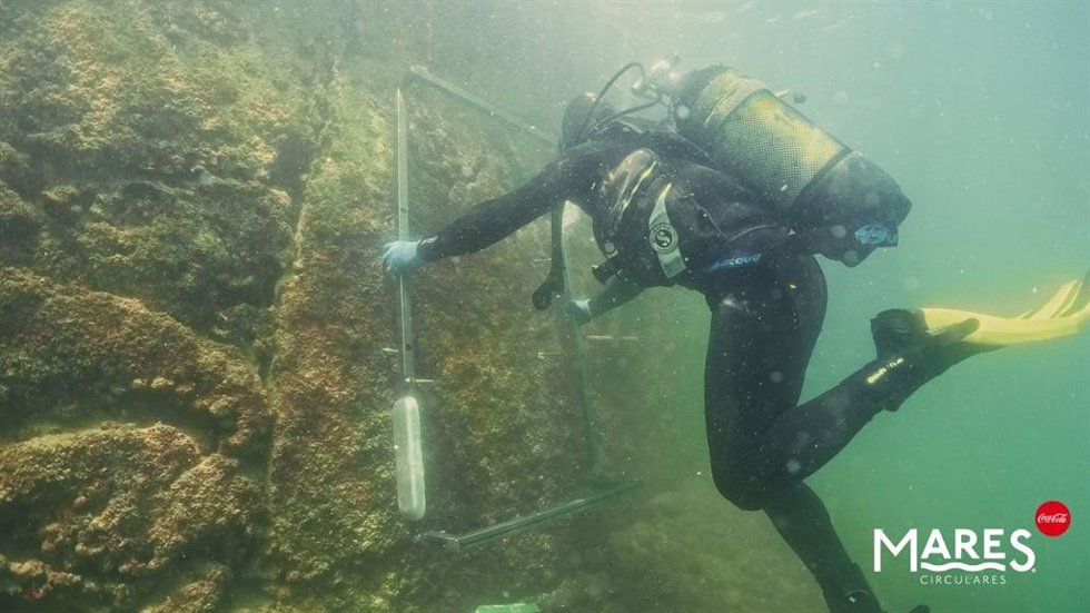 Mares Circulares y Ocean Ecostructures colaboran en la recuperación ecológica en el Real Club Náutico de Palma.