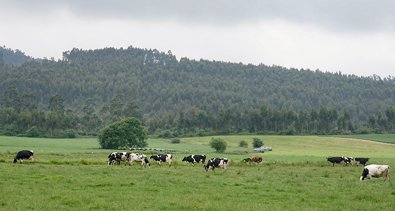 Cantabria