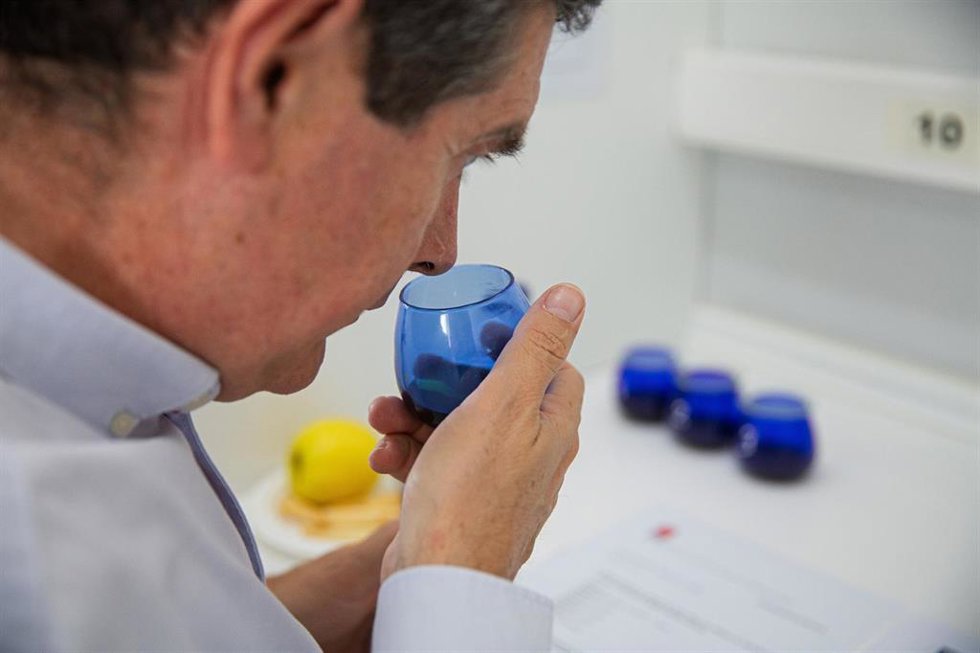 Cata de aceites en la Comunidad de Madrid