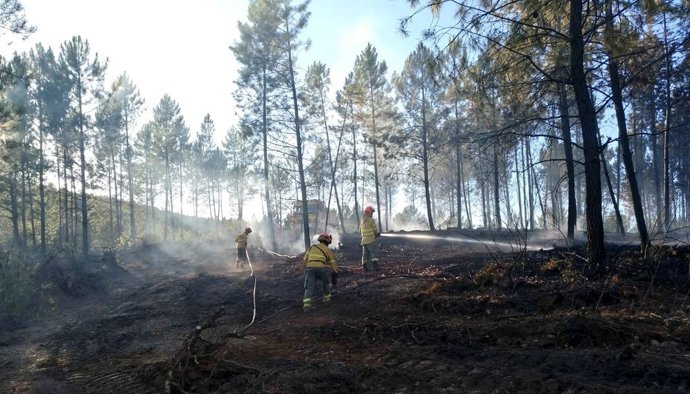 Archivo - Efectivos del Infoex realizan labores de remate en un incendio forestal, en una imagen de archivo.