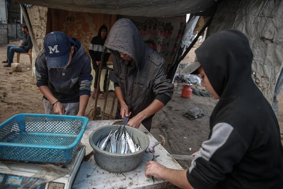 Archivo - Pescadores palestinos en el puerto de Gaza preparando sus materiales de trabajo para salir a faenar pese a los ataques del Ejército de Israel contra la Franja (archivo)