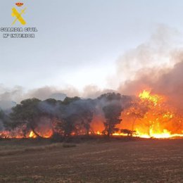 Incendio de arbolado en el embalse El Ferial, en las Bardenas.