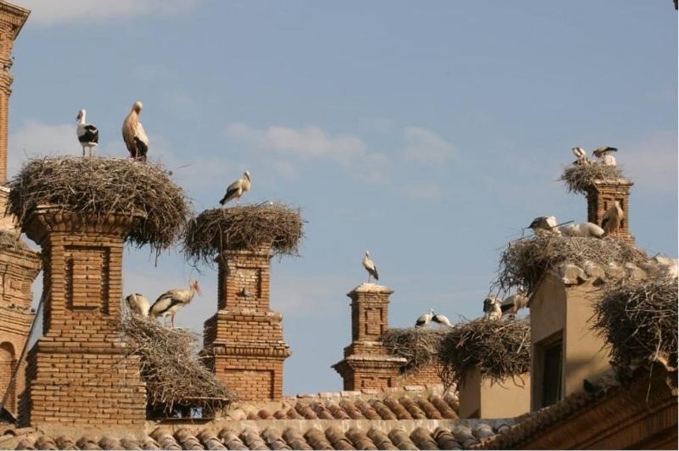 Actividades interpretativas en el Sendero de las Majadas, el Valle del Leza y Alfaro, en Pasea La Rioja