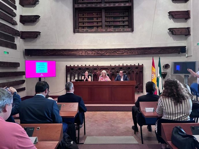 La consejera de Cultura y Deporte en funciones, Patricia del Pozo, interviene en el el acto inaugural que dio inicio a las sesiones de trabajo de evaluación de Itálica a Patrimonio Mundial.