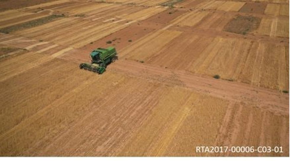 Archivo - La Misión Biológica de Galicia participa en dos proyectos de investigación europeos sobre suelos agrícolas