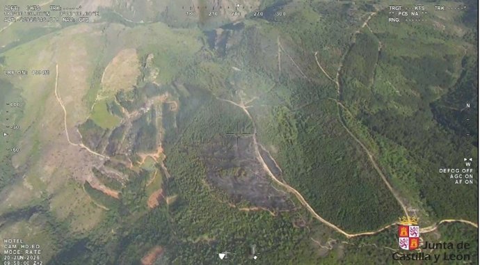 Incendio forestal en San Vicente (León).