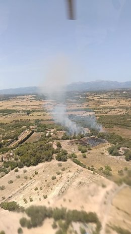 Medios aéreos y terrestres combaten un incendio forestal declarado en Petra