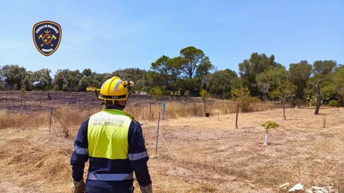 Medios aéreos y terrestres combaten un incendio forestal declarado en Petra