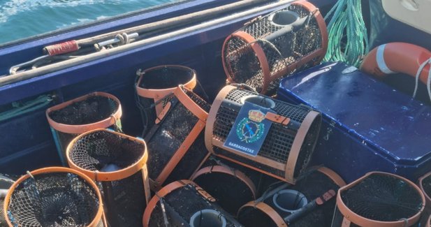 Pesca Galicia