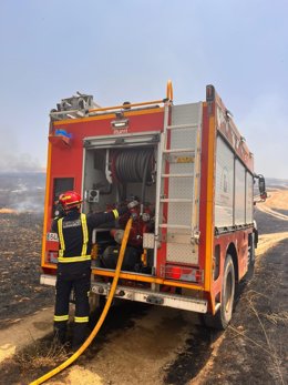Efectivos del Consorcio Provincial de Bomberos de la Diputación de Córdoba, este sábado, en incendio forestal declarado en la finca Villalobillos en el término municipal de Almodóvar del Río