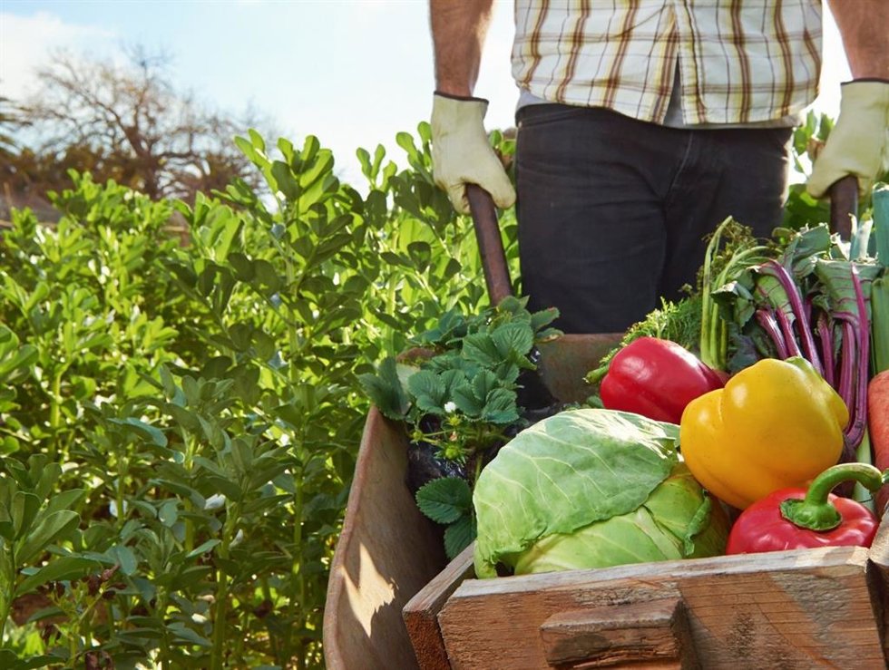Alimentos de Andalucía