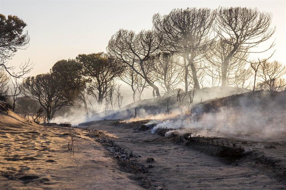 Archivo - Cuesta Maneli calcinada tras el incendio junto a Doñana en 2017