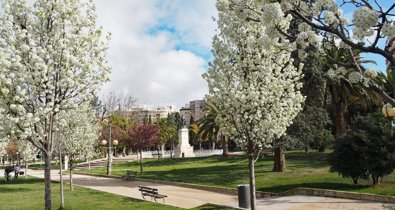 Aragón