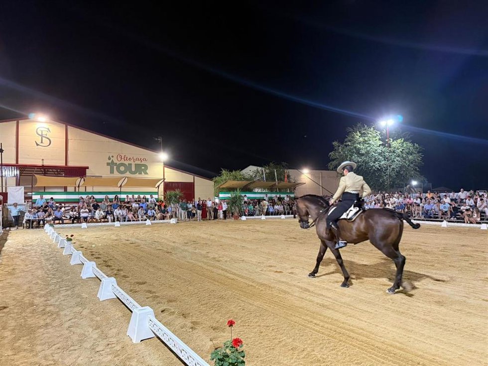 VI Salón del Caballo de Arjona (Jaén)
