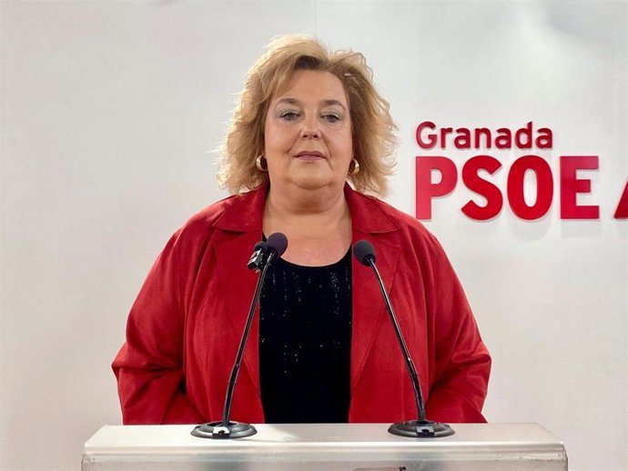 Archivo - La diputada provincial del PSOE Fátima Gómez