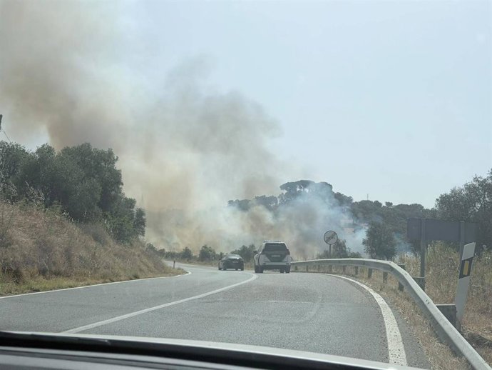 Incendio forestal declarado en El Pedroso (Sevilla) el domingo 21 de junio próximo a la carretera A-432.