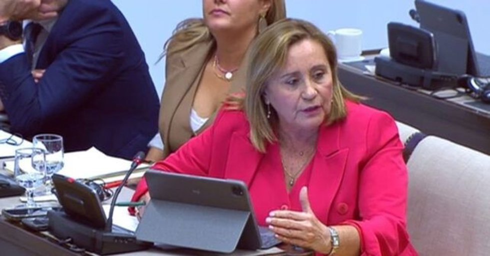 La diputada nacional por el PSOE de Huelva y portavoz de Pesca del Grupo Parlamentario Socialista en el Congreso, María Luisa Faneca
