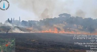 Imagen del incendio forestal declarado en El Pedroso (Sevilla).