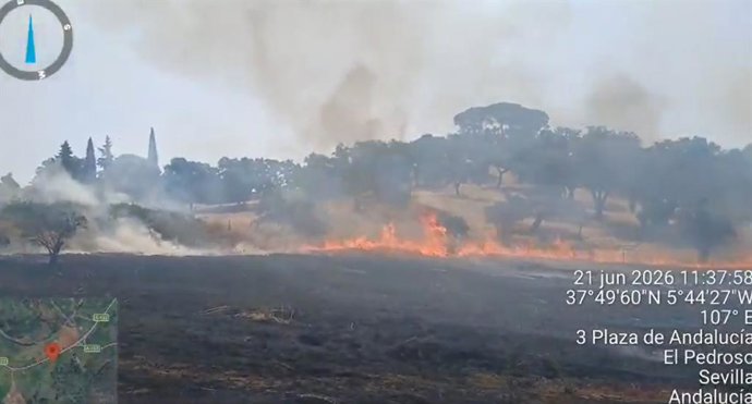 Imagen del incendio forestal declarado en El Pedroso (Sevilla).