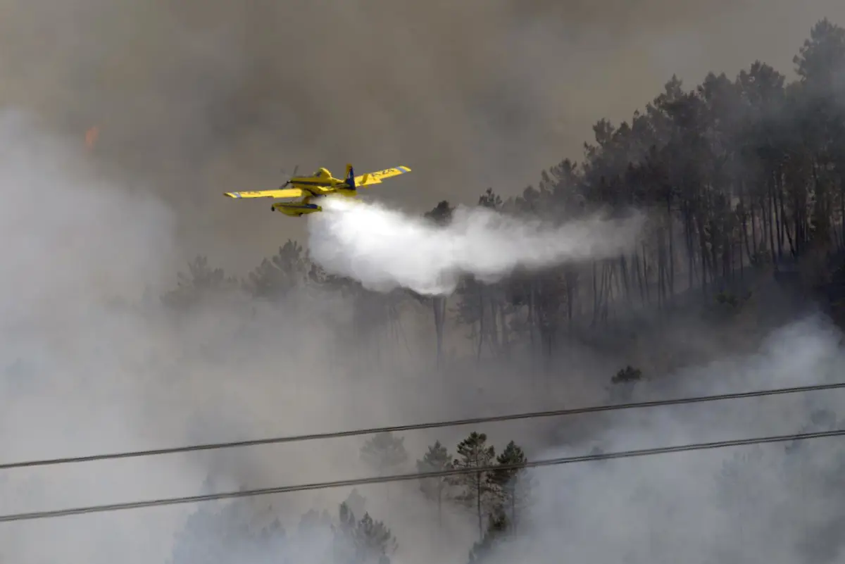Labores de extinção de um incêndio florestal, a 14 de junho de 2026, em Boborás, Ourense, Galicia (Espanha).
