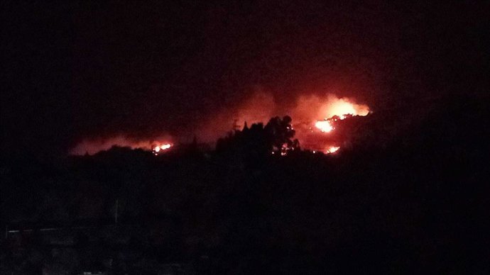 Imagen del incendio forestal en el paraje Las Barreras en el término municipal de Órgiva (Granada) declarado el 21 de junio.