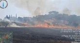 Foto: Extinguido el incendio forestal en El Pedroso (Sevilla) que obligó a cortar la carretera A-432