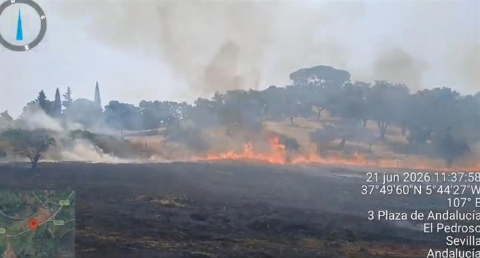 Imagen del incendio forestal declarado en El Pedroso (Sevilla).