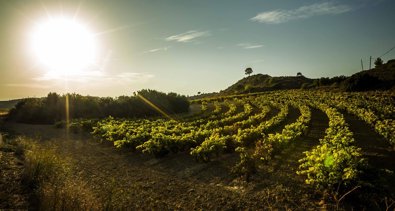 La Rioja