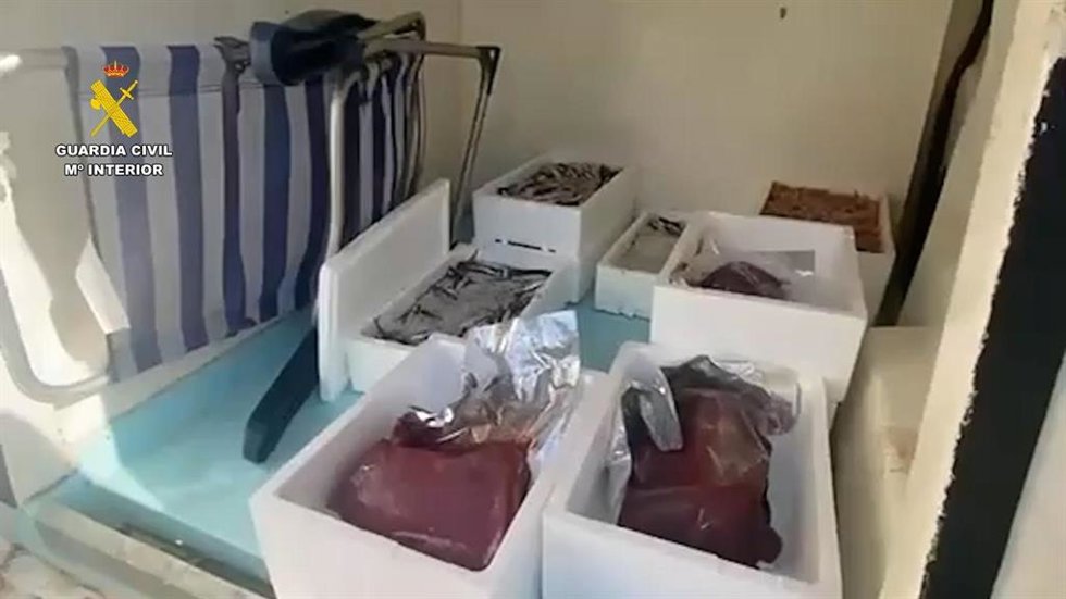 Pescados y mariscos intervenidos en un control en El Puerto de Santa María
