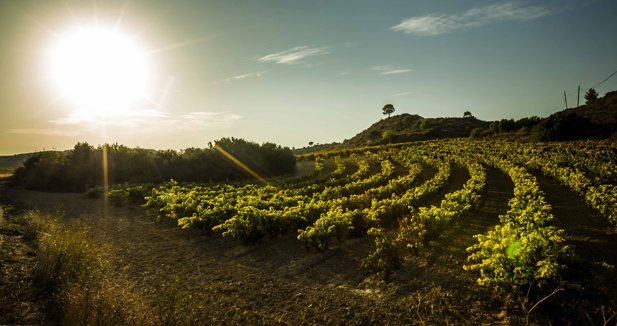 EpAgro - Agricultura