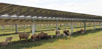 Vista áerea de la planta solar "Rocinante".