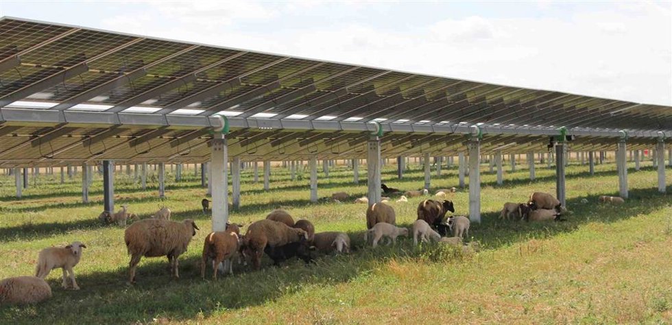 Vista áerea de la planta solar "Rocinante".