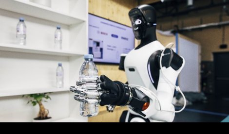notibrasil sociedade
