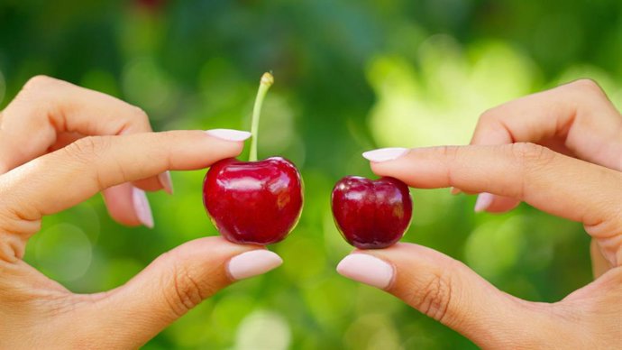 ¿Picota o cereza? La DOP Cereza del Jerte presenta diez claves para diferenciar a la reina roja del verano