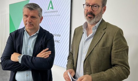 Es Andalucía - Córdoba