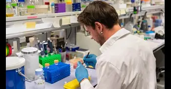Las plantas podrían reconvertir sus paneles solares en fábricas de nutrientes "a la carta", según un estudio