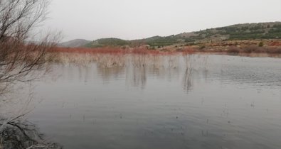 Aragón