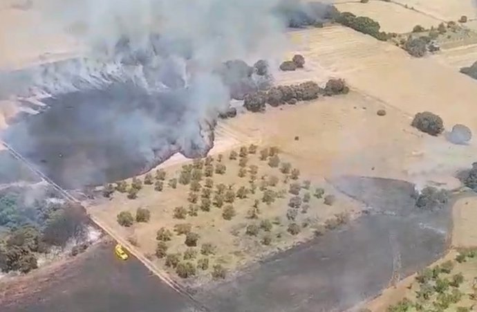 Vídeo de la noticia