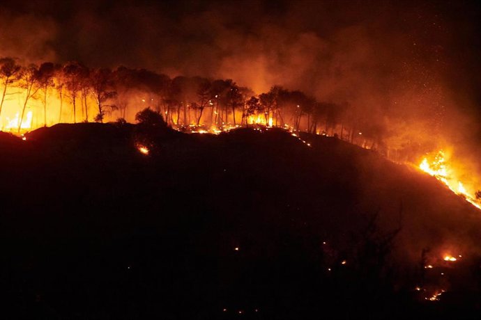 Archivo - Imagen de archivo de un incendio forestal en Carcastillo