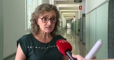 Vídeos