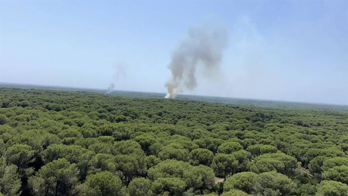 Incendio forestal declarado en La Puebla (Sevilla) a domingo, 21 de junio.